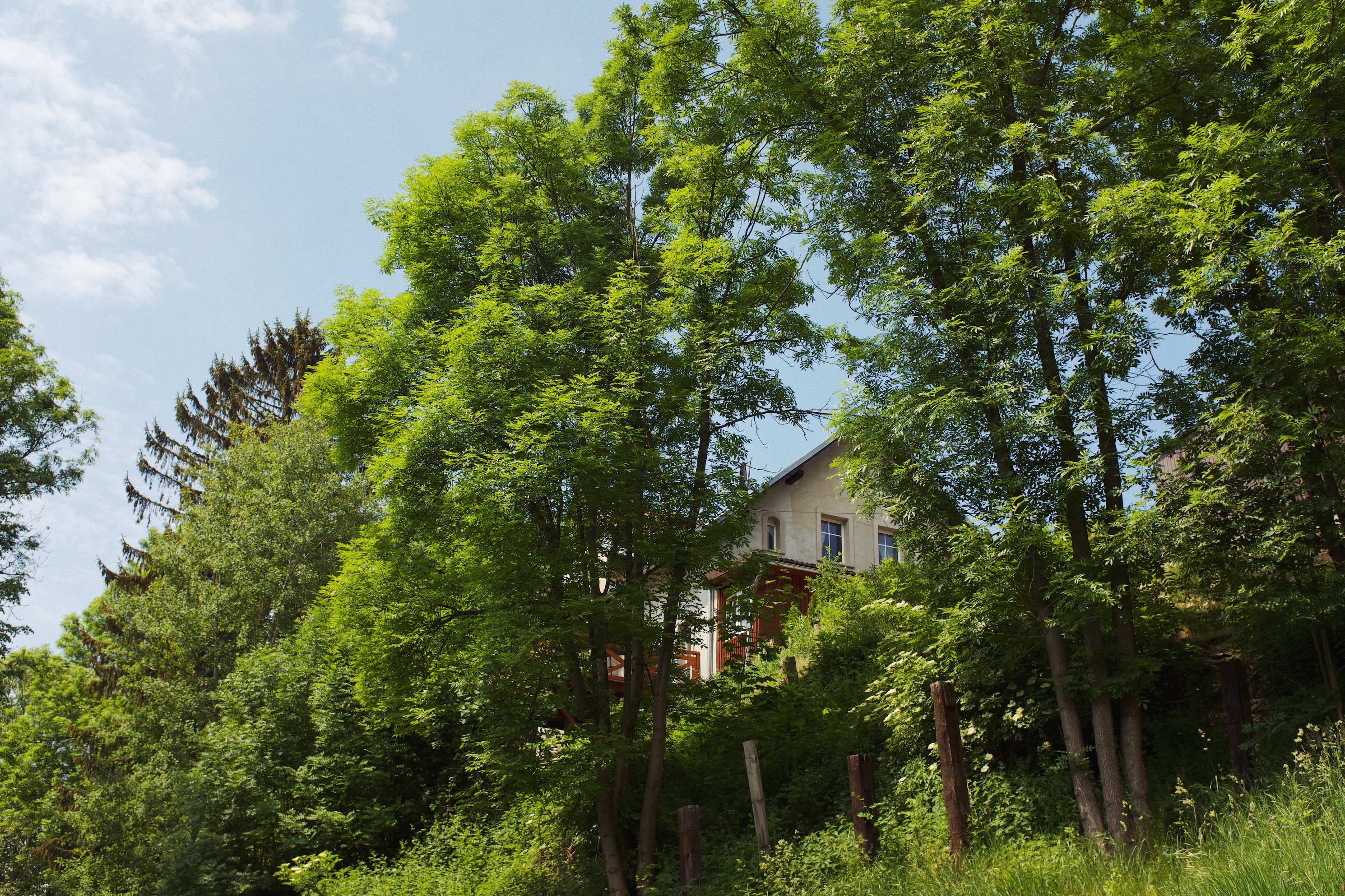 Processed with VSCO with kp5 preset