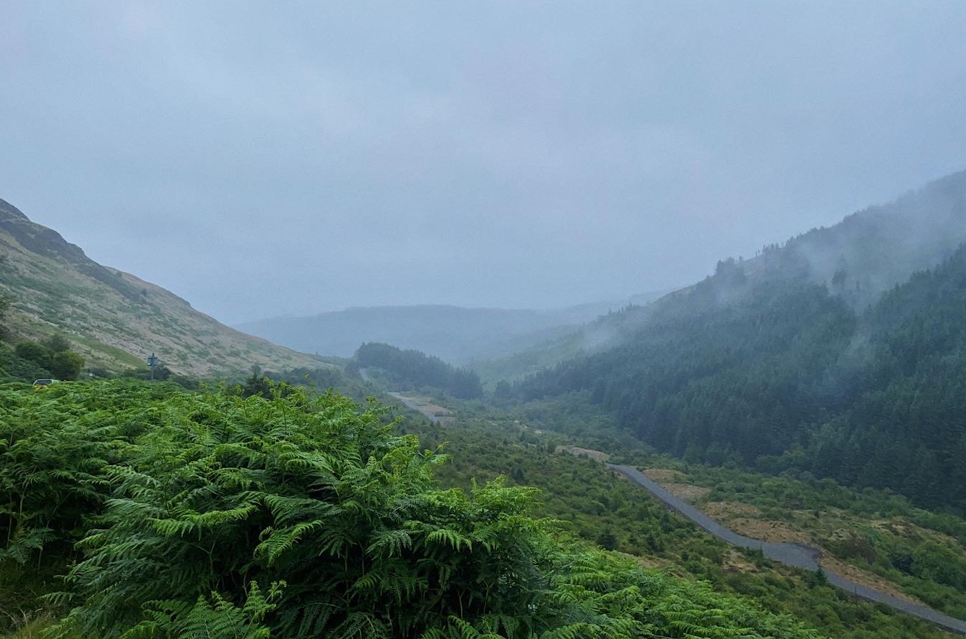 006E8590-852E-40A9-86CF-AC2905041284