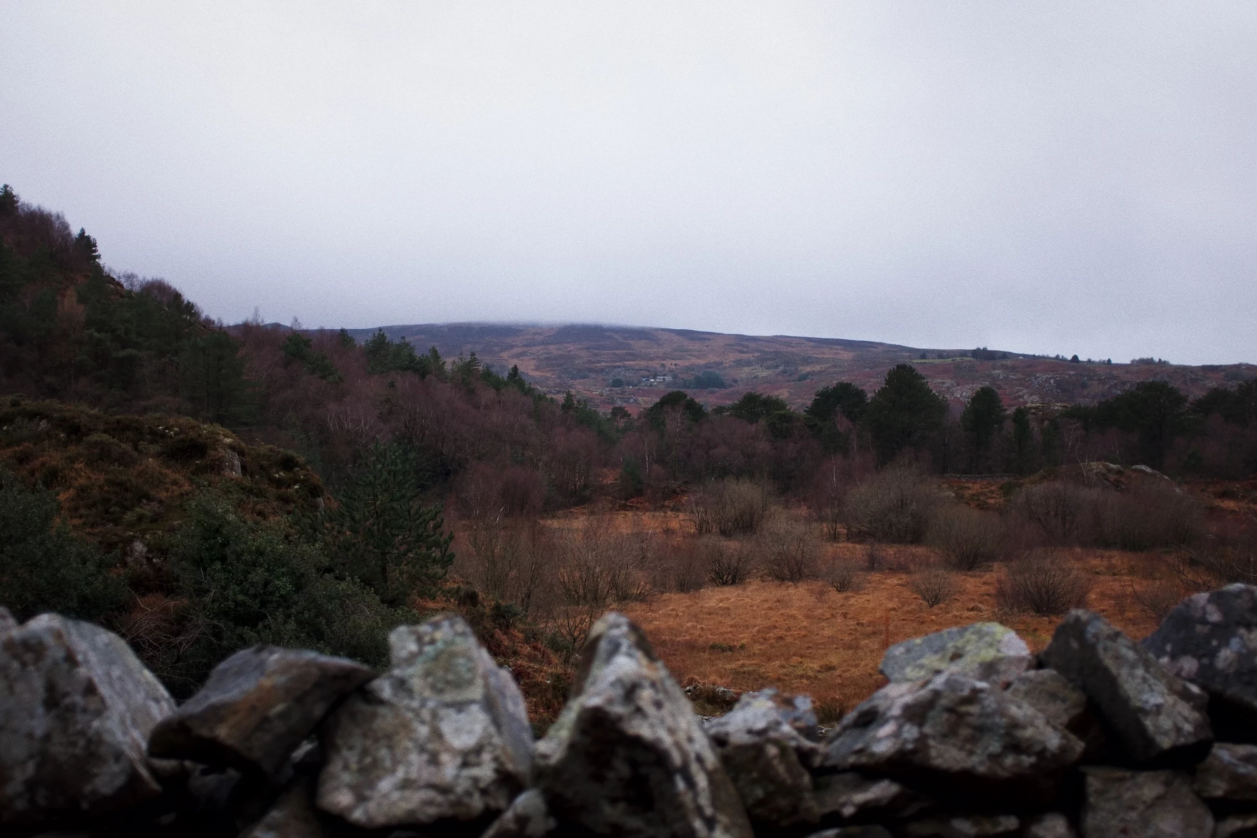 View from the hut