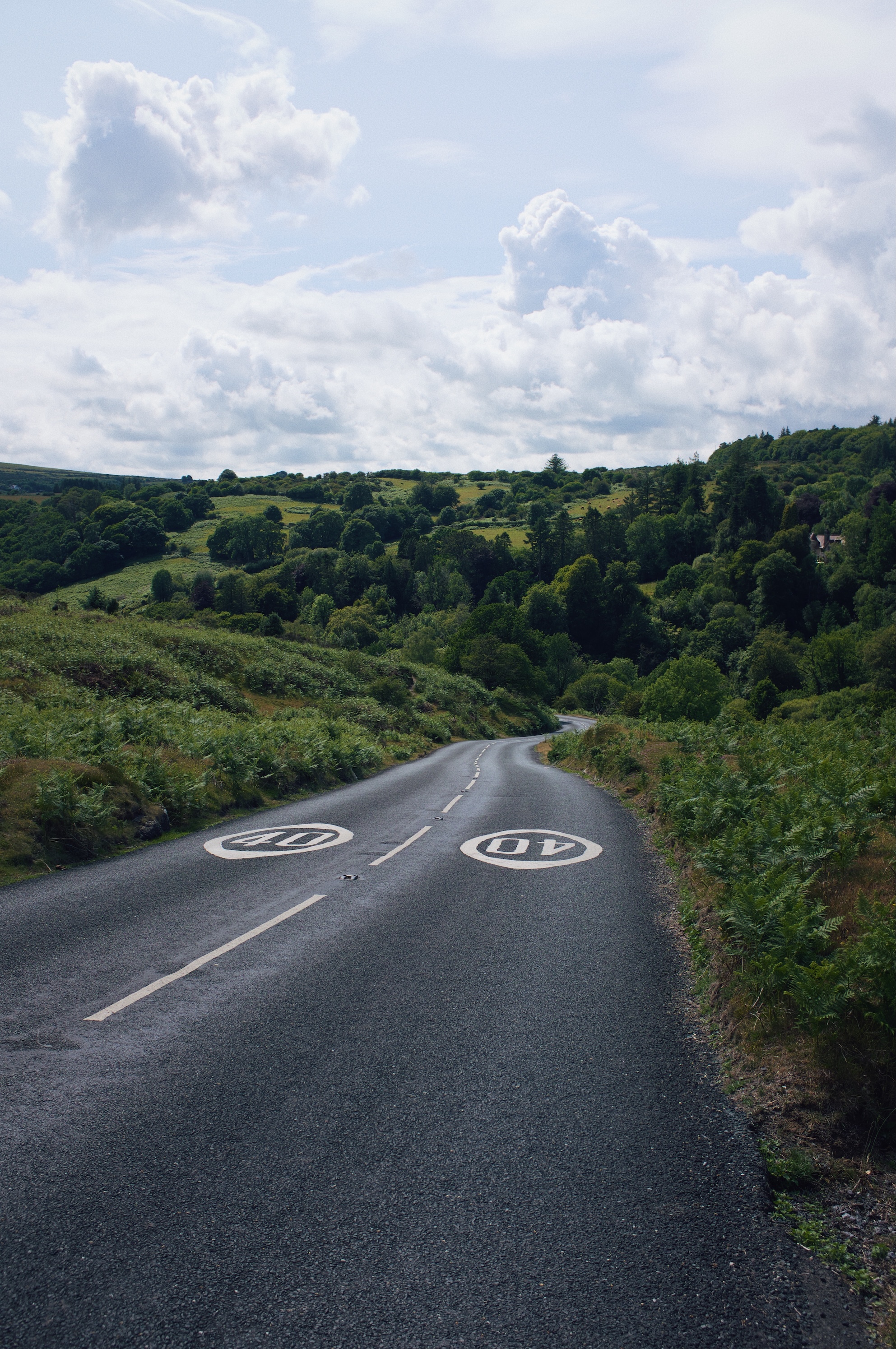 Processed with VSCO with m6 preset