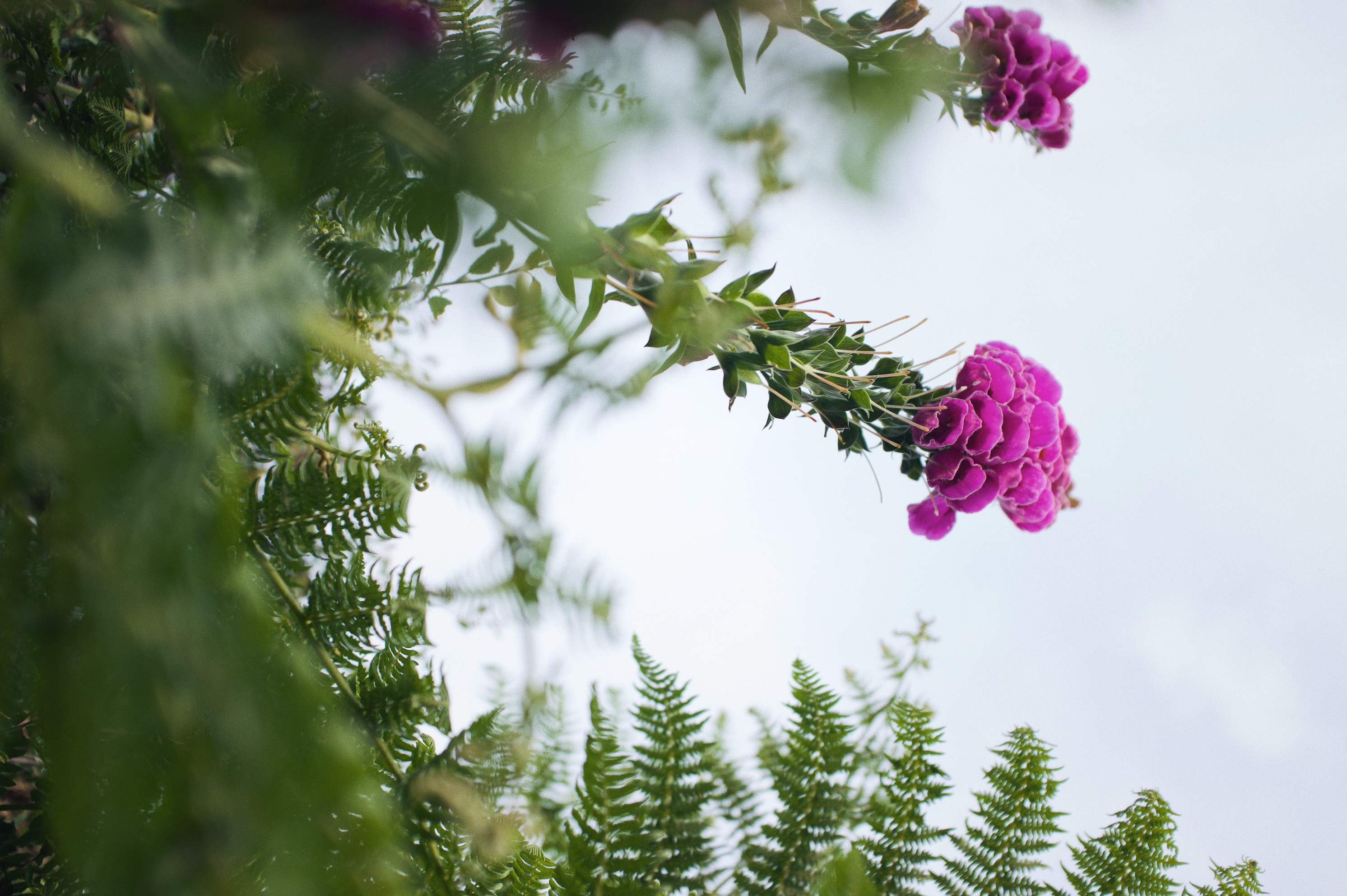 Processed with VSCO with m6 preset