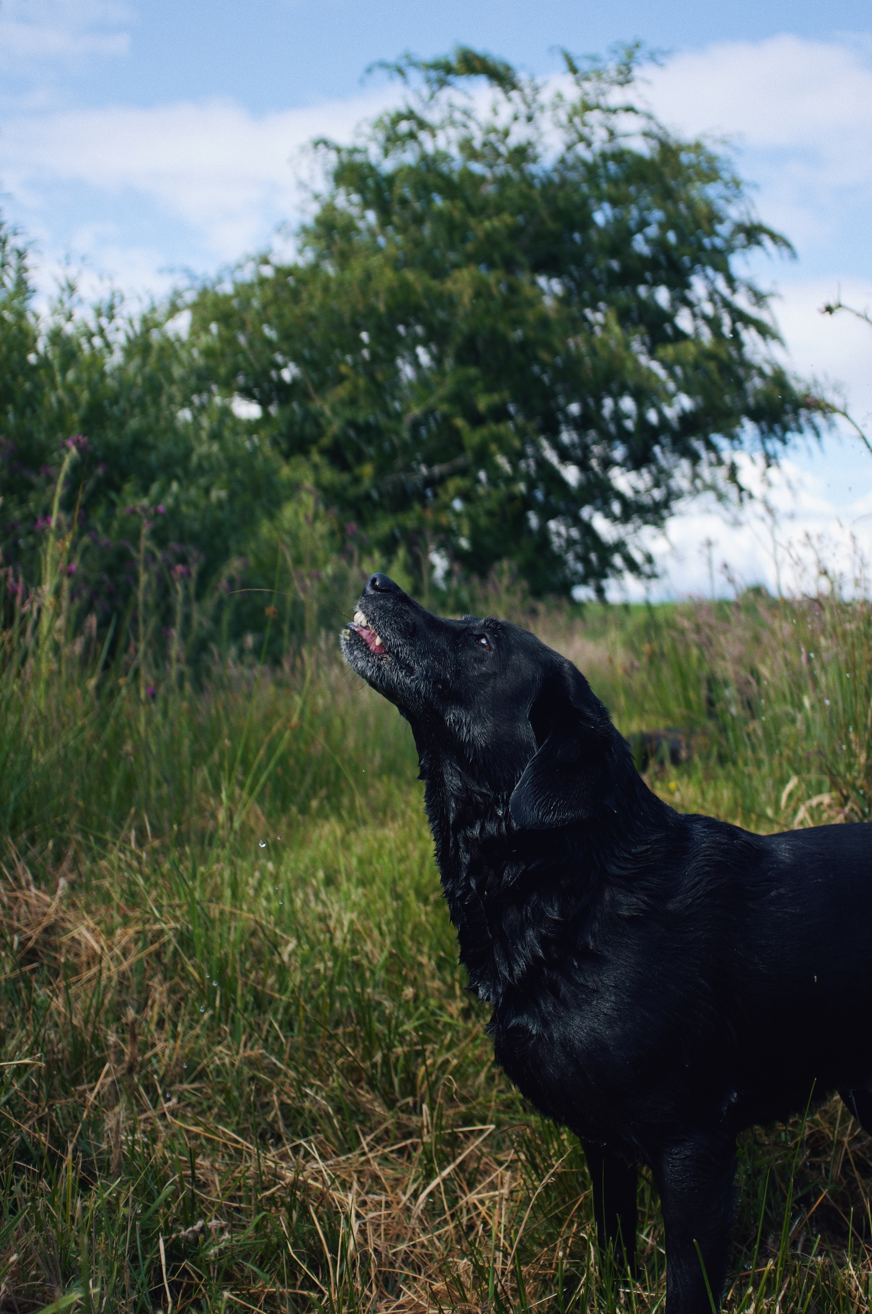 Processed with VSCO with m6 preset