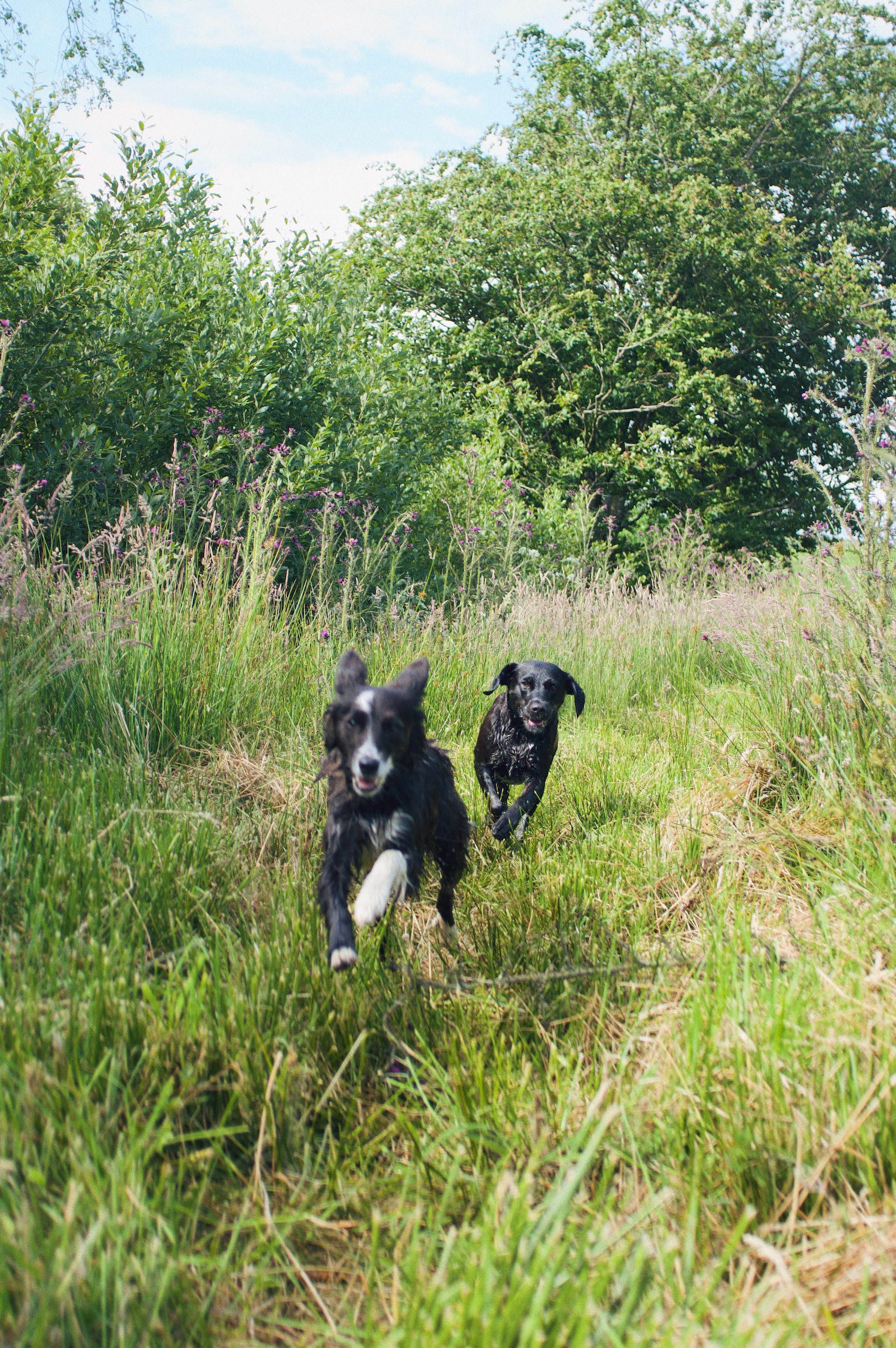 Processed with VSCO with m6 preset