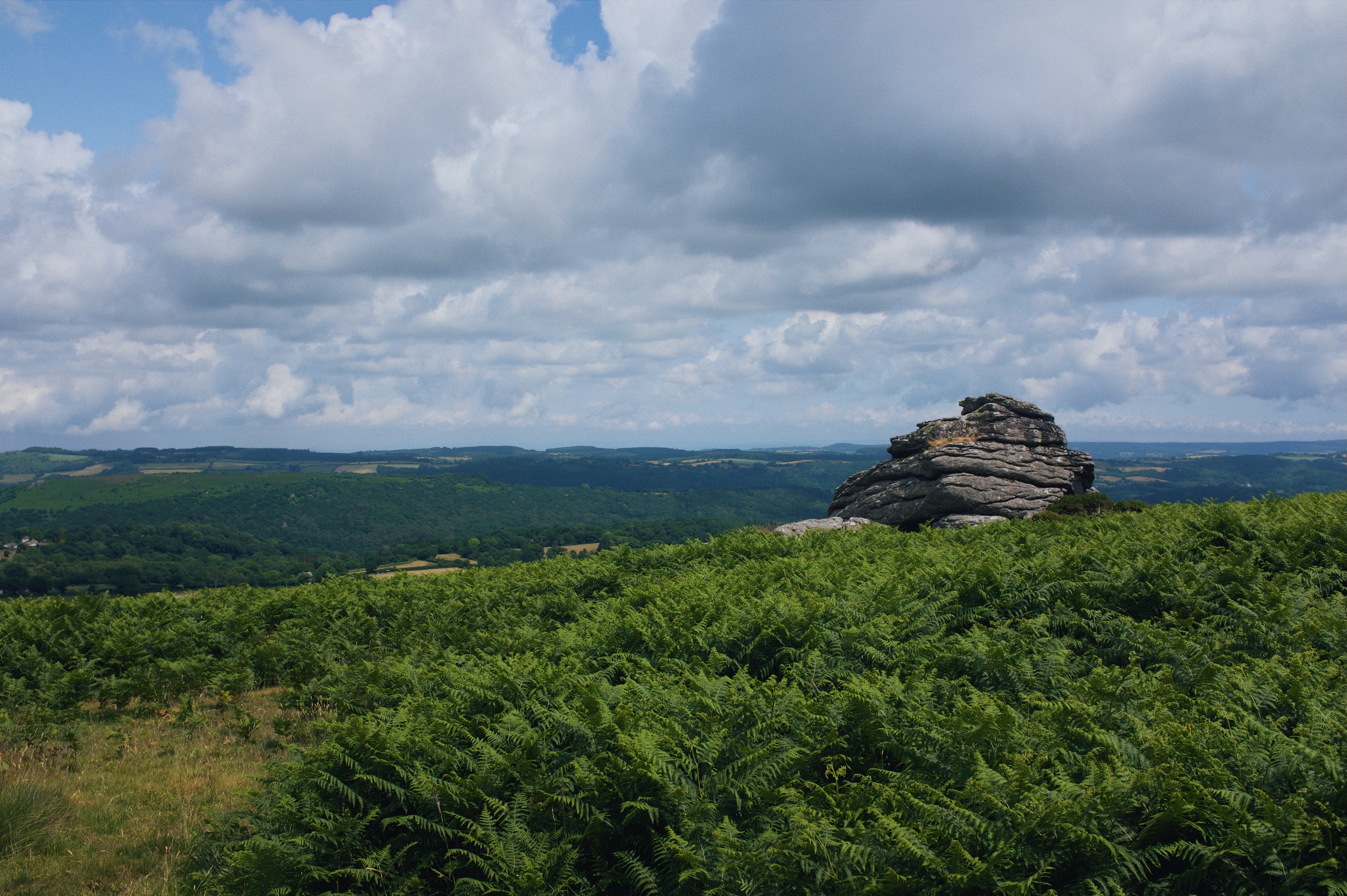 Processed with VSCO with m6 preset