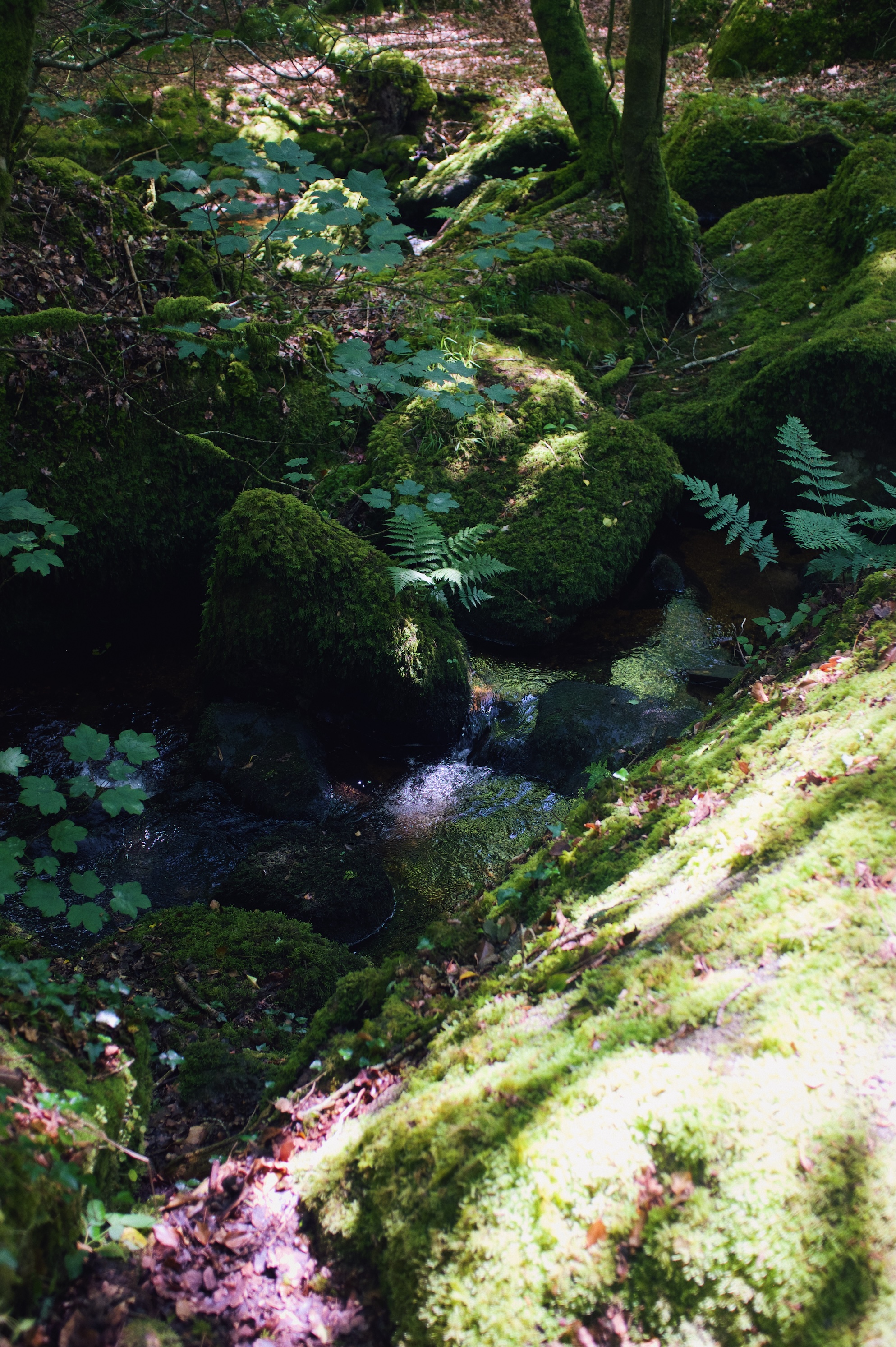 Processed with VSCO with m6 preset