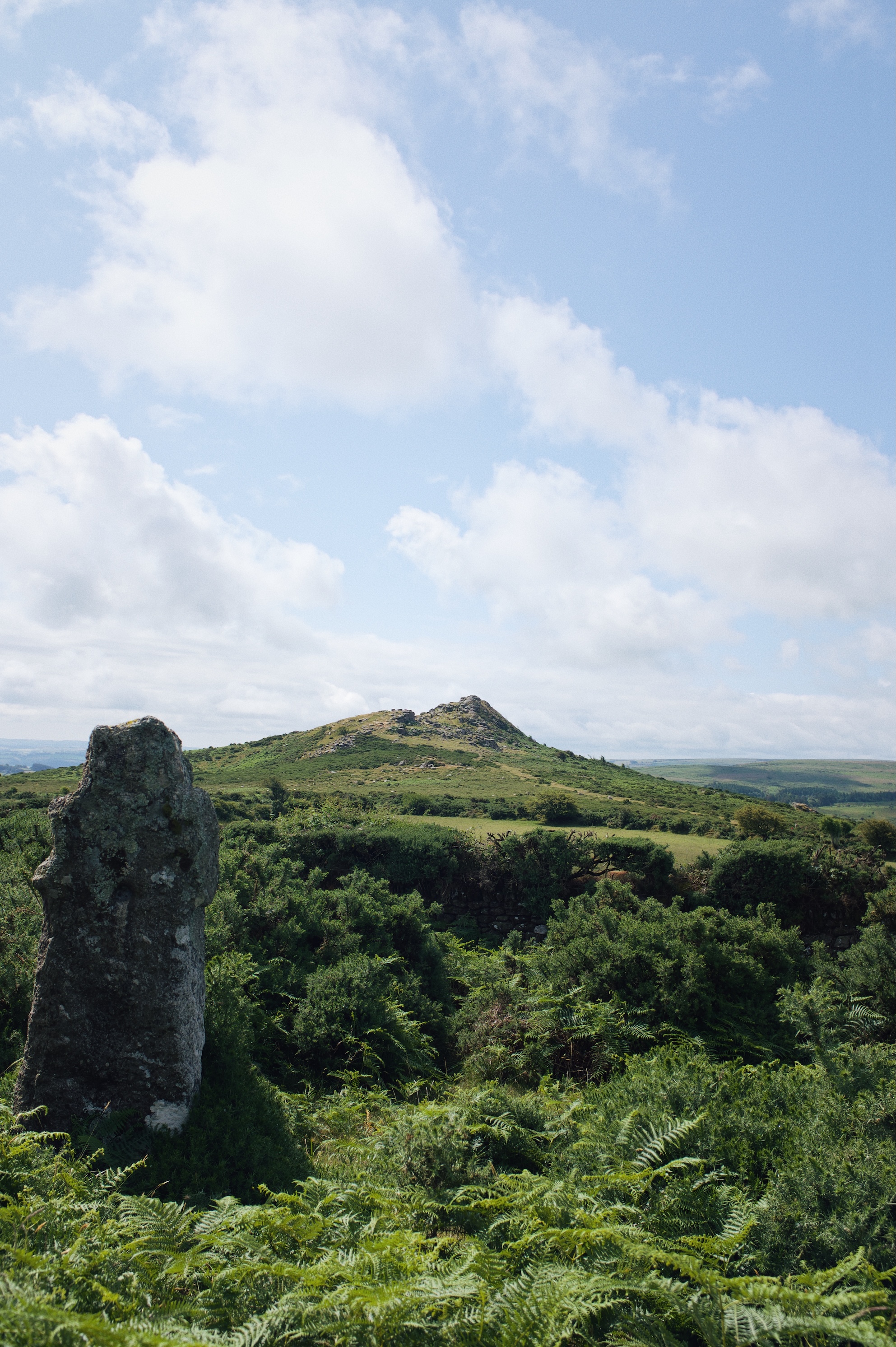 Processed with VSCO with m6 preset