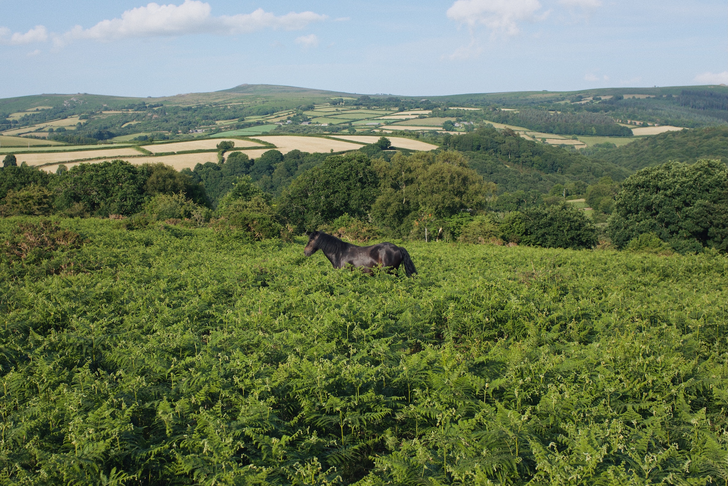 Processed with VSCO with m6 preset