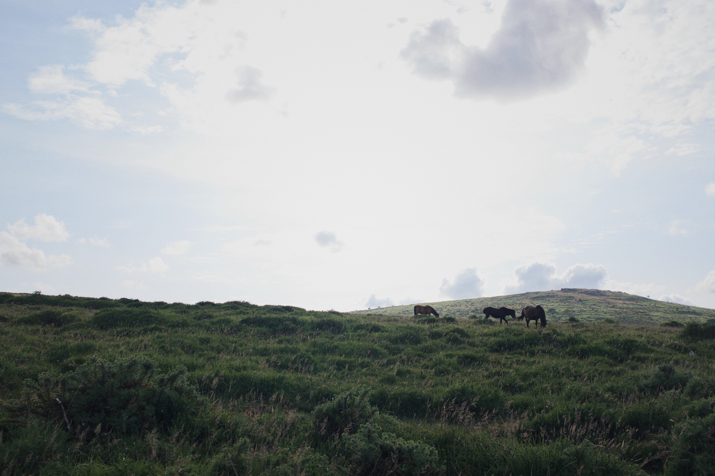 Processed with VSCO with m6 preset