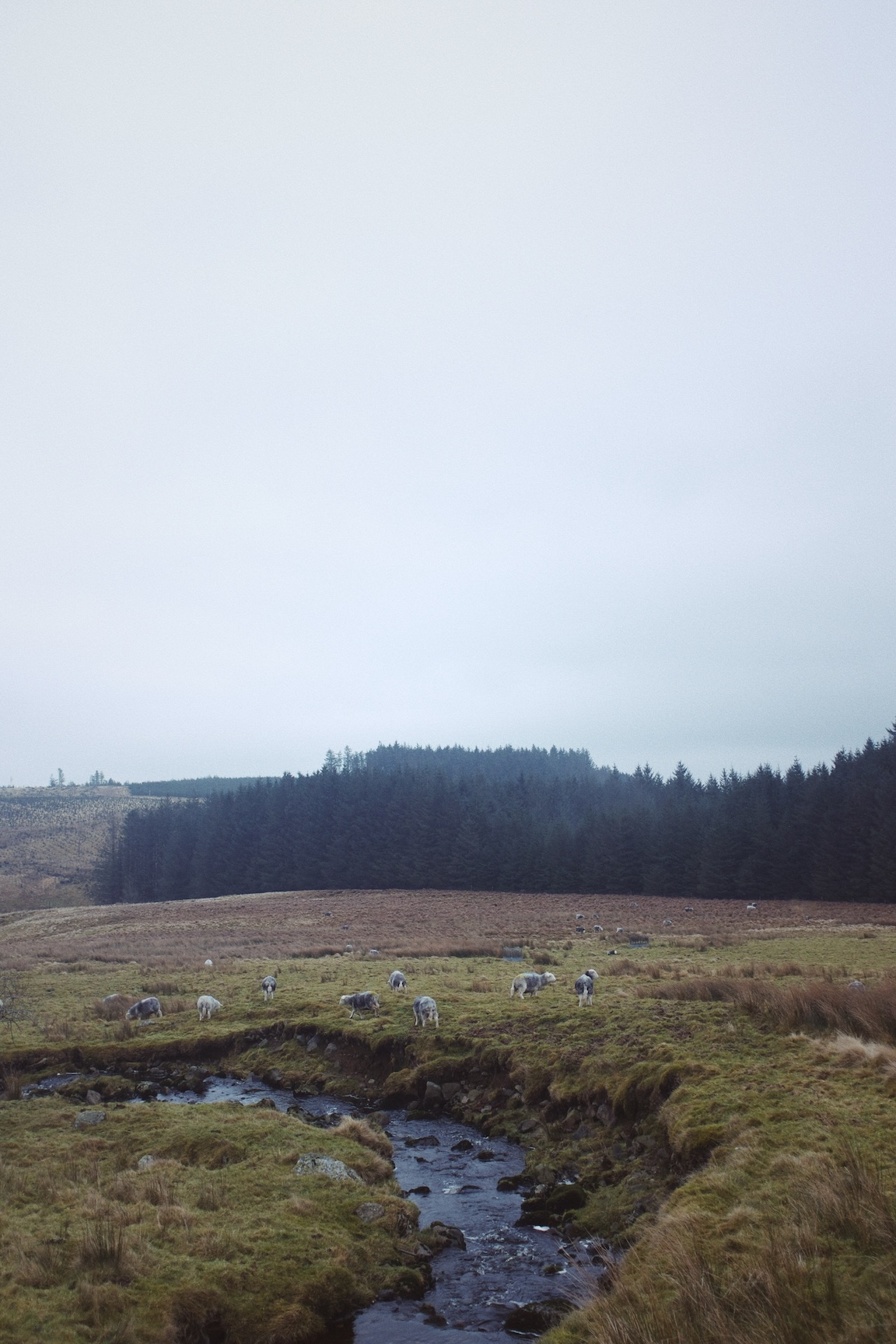 Processed with VSCO with kp5 preset