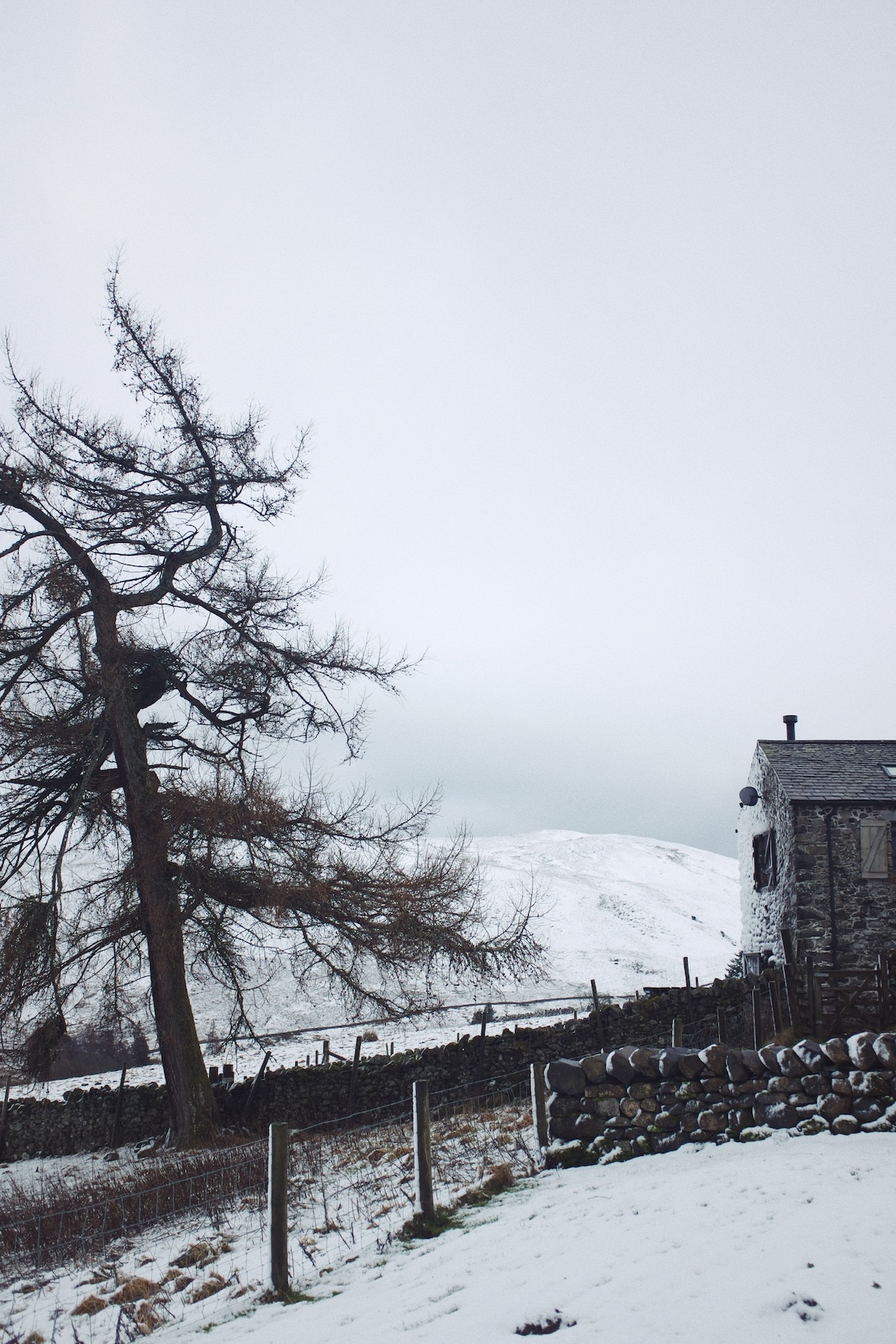 Processed with VSCO with kp5 preset